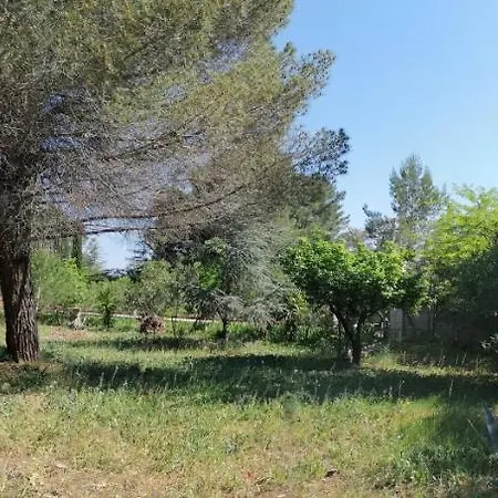 Vacanze Il Parco Alberato 圣维托诺曼