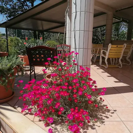 公寓 Vacanze Il Parco Alberato 圣维托诺曼
