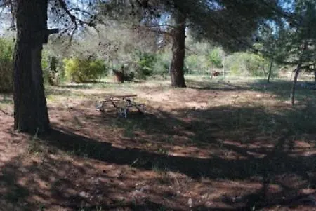 Vacanze Il Parco Alberato * 圣维托诺曼