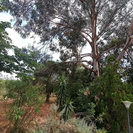 Vacanze Il Parco Alberato 圣维托诺曼